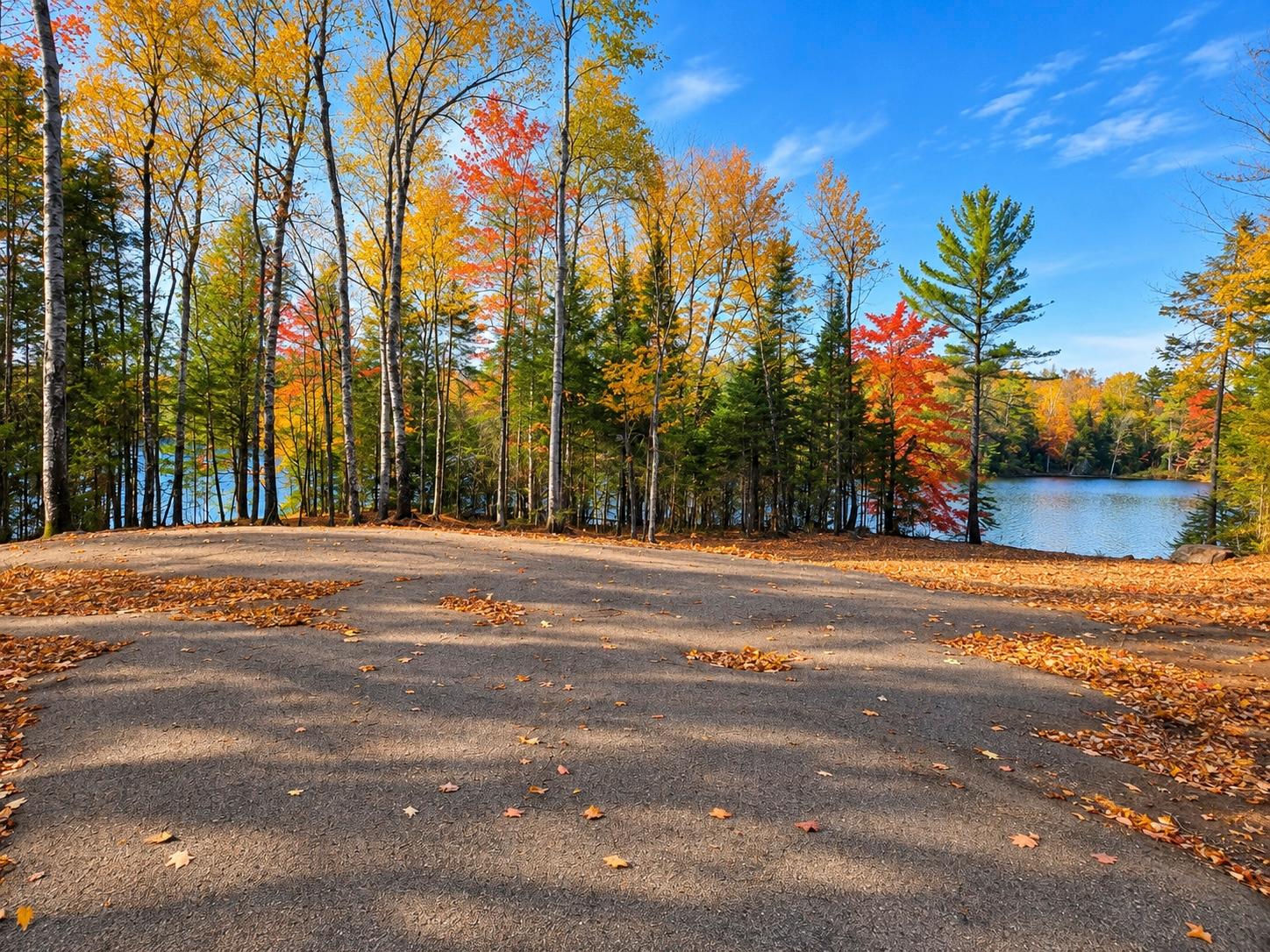 On Schuette Road Watersmeet, MI 49969 - Photo 10 of 16 Gallery Image 10
