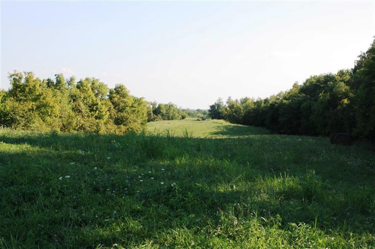 1 Concord Road Carlisle, KY 40311 - Photo 1 of 9 Photo 1