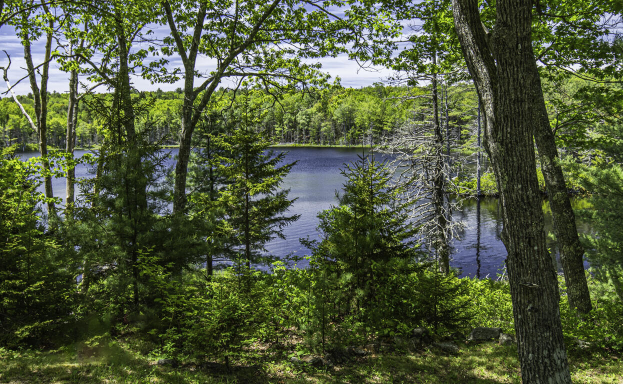 48 Douglas Loop Blue Hill, ME 04614 - Photo 5 of 28 2K9A8386