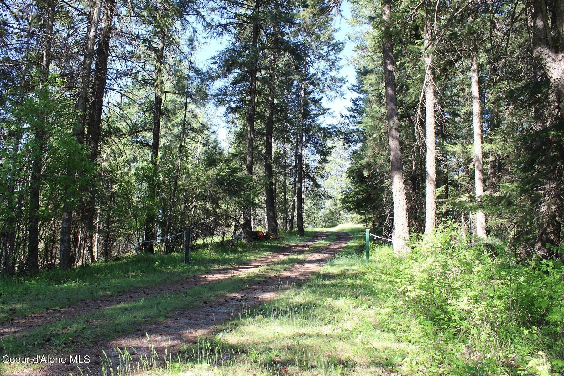 881-2714 South Allen Road Coeur D'Alene, ID 83814 - Photo 7 of 54 Haven East Line Driveway