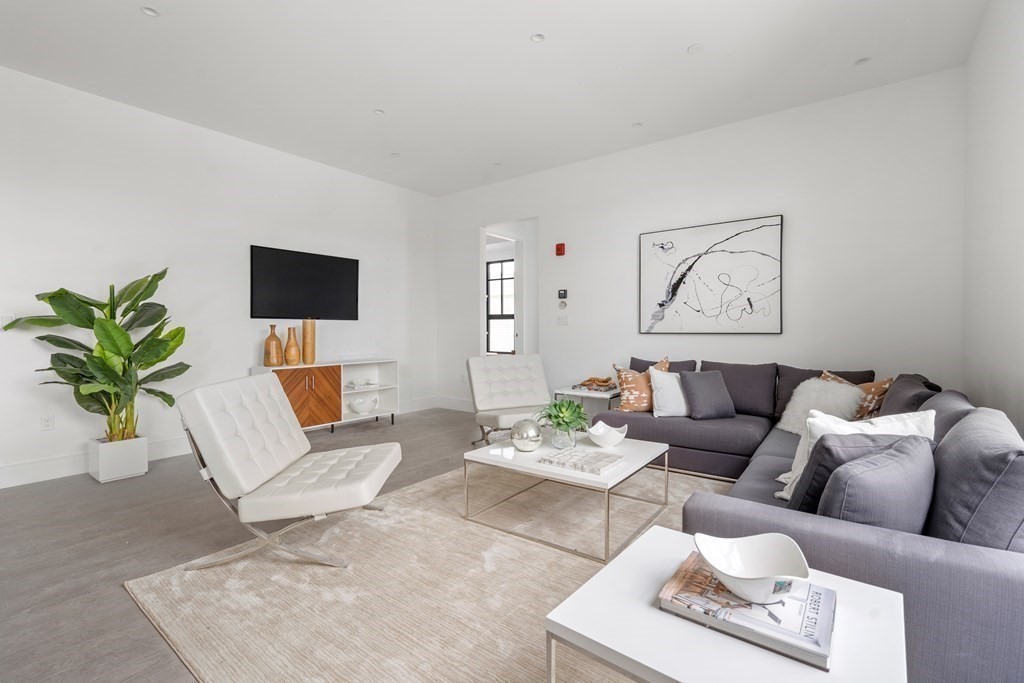 8 Leverett Street, Unit 1 Brookline, MA 02445 - Photo 7 of 29 a living room with furniture or couch and a potted plant