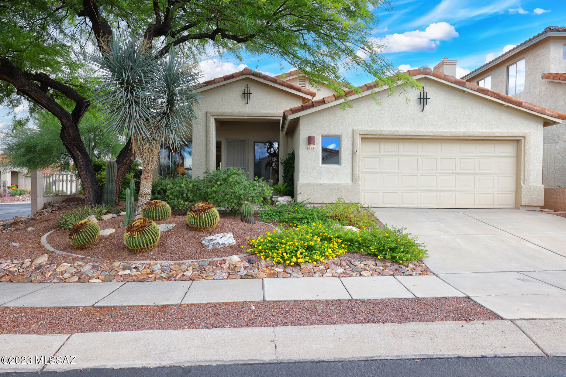153 West Red Pepper Place Oro Valley, AZ 85755 - Photo 43 of 43