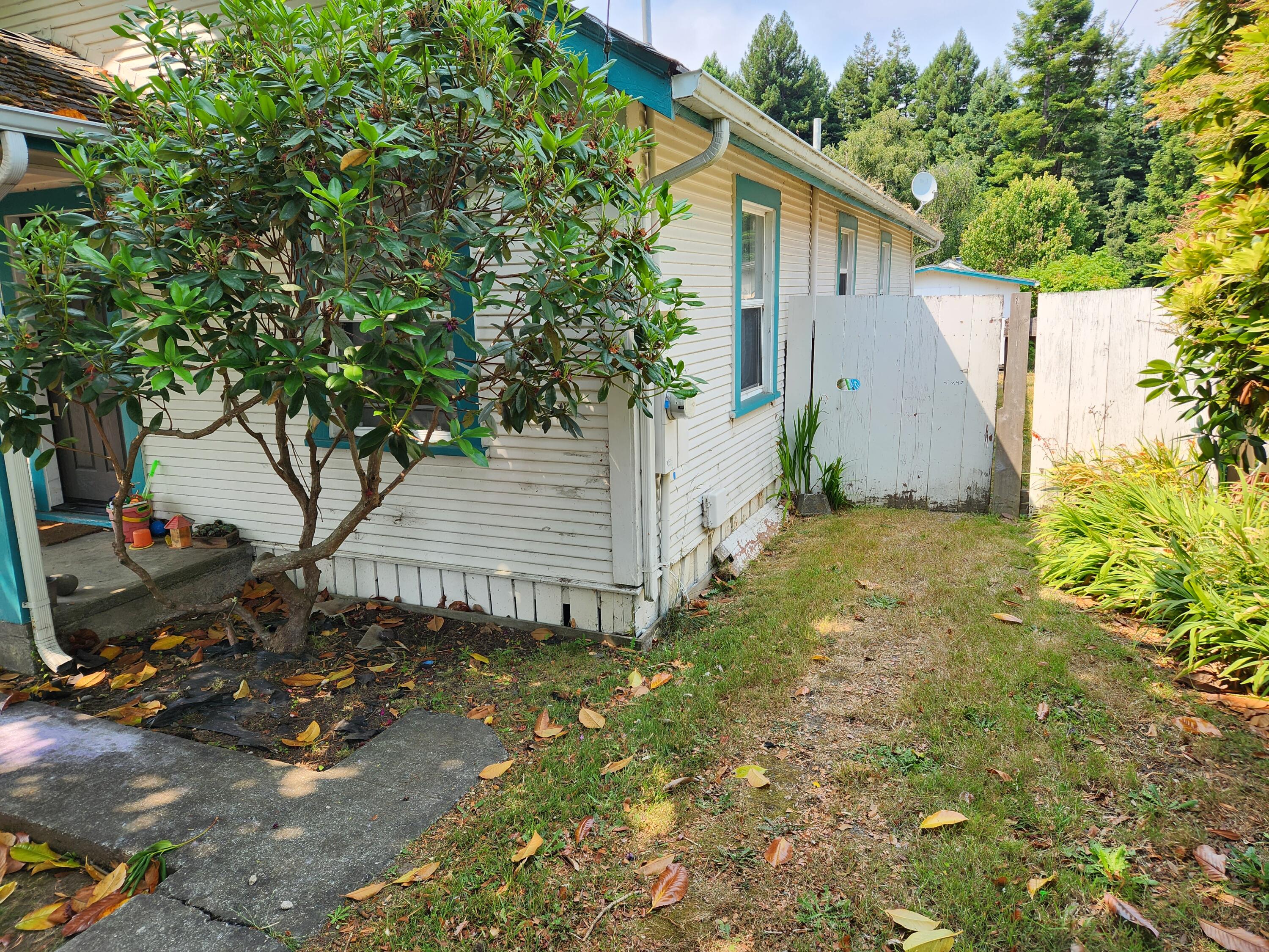 2163 Fern Street Cutten, CA 95503 - Photo 2 of 23 a view of backyard with plants and a large tree