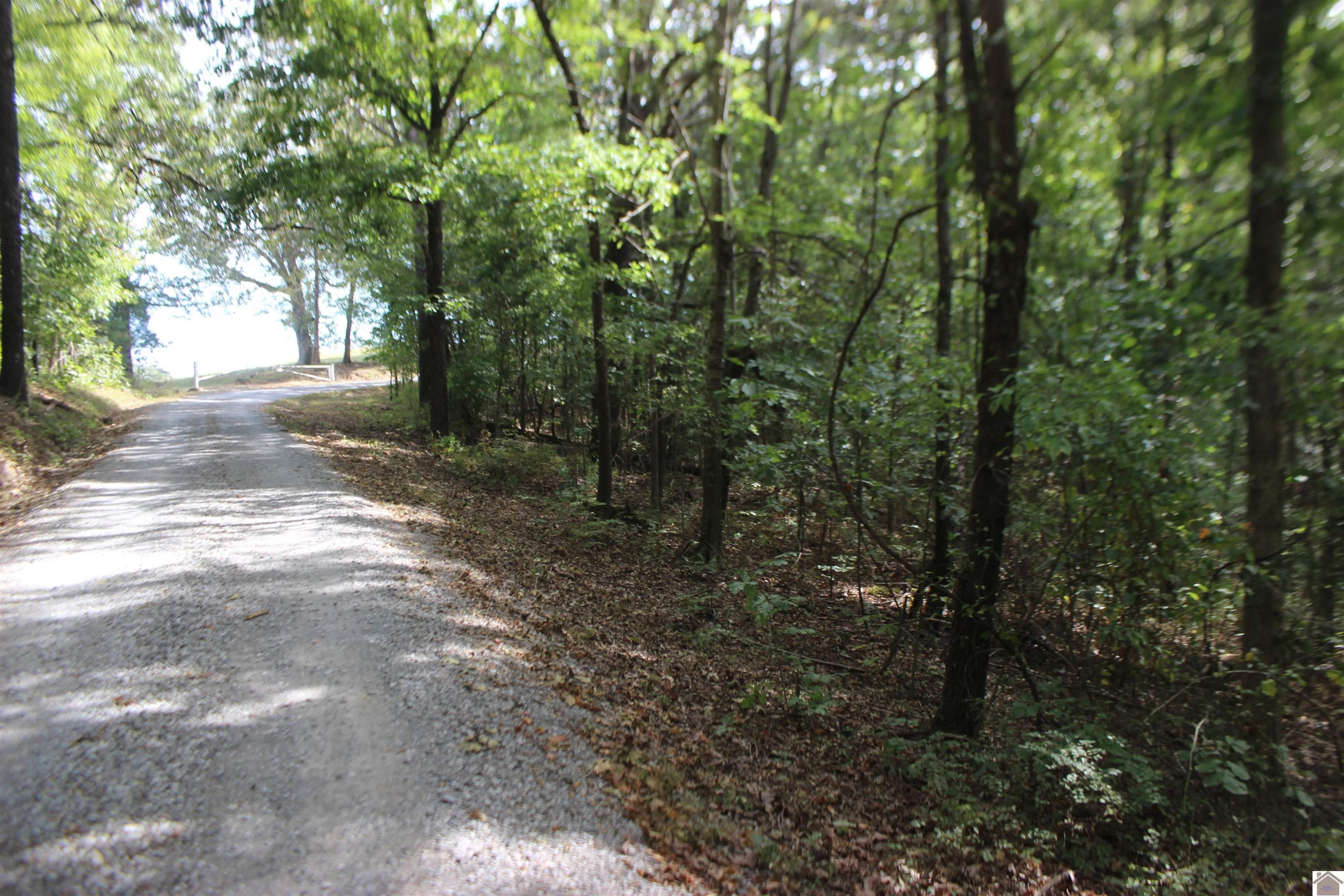 0 Corinth Church Road Grand Rivers, KY 42045 - Photo 28 of 49 Photo 28