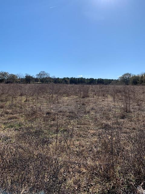 0 Box Road Dothan, AL 36301 - Photo 3 of 6