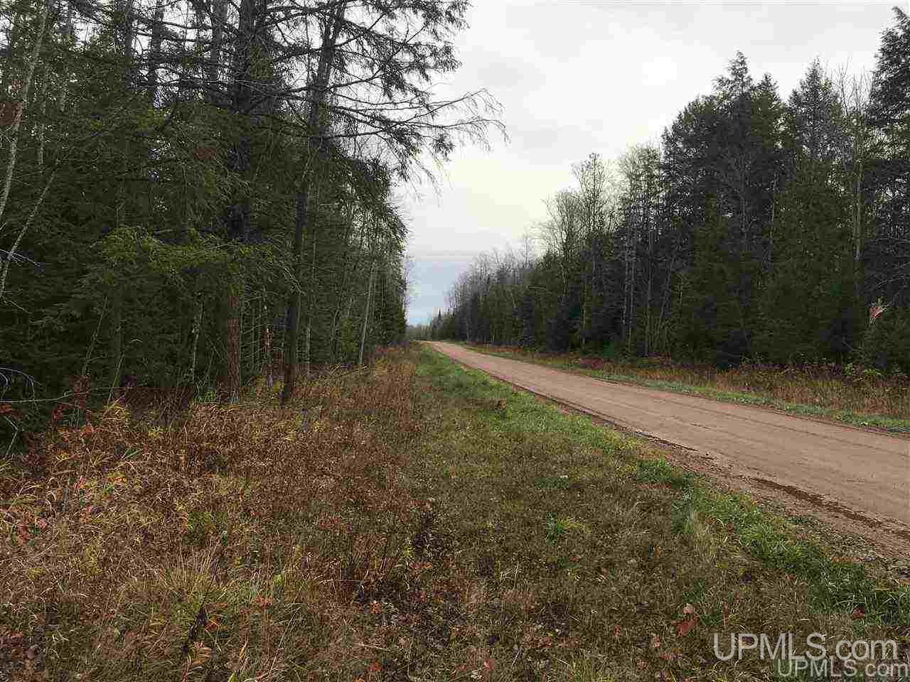 40-acres Off Cadeau Road Baraga, MI 49908 - Photo 16 of 19