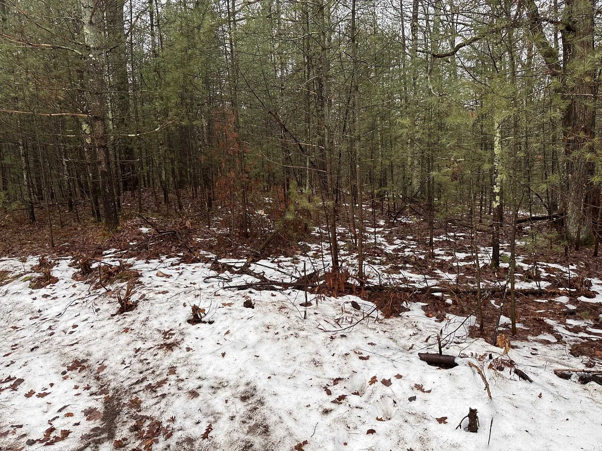 A Albrecht Road Interlochen, MI 49643 - Photo 1 of 5