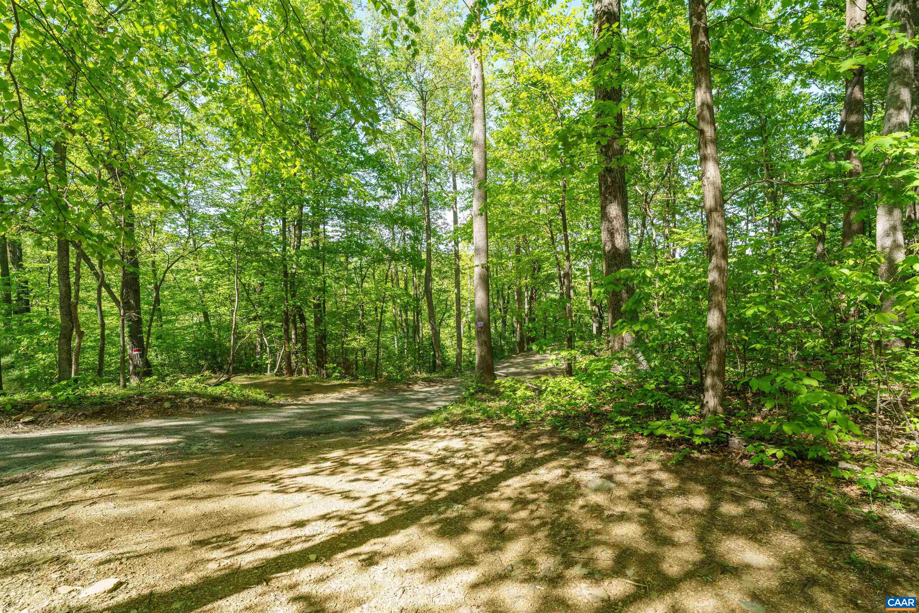 Lot E Brokenback Mountain Road Dyke, VA 22935 - Photo 3 of 8