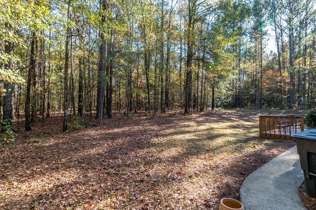 1207 Mack Scott Road Pine Mountain, GA 31822 - Photo 7 of 38 Serene...