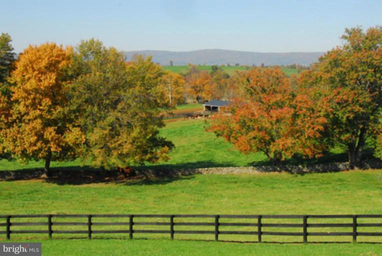 7470 Foxmount Lane Marshall, VA 20115 - Photo 4 of 6 Wooded View / Acreage