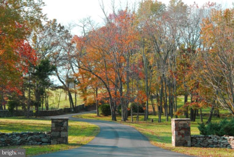 7470 Foxmount Lane Marshall, VA 20115 - Photo 5 of 6 Wooded View / Acreage 2