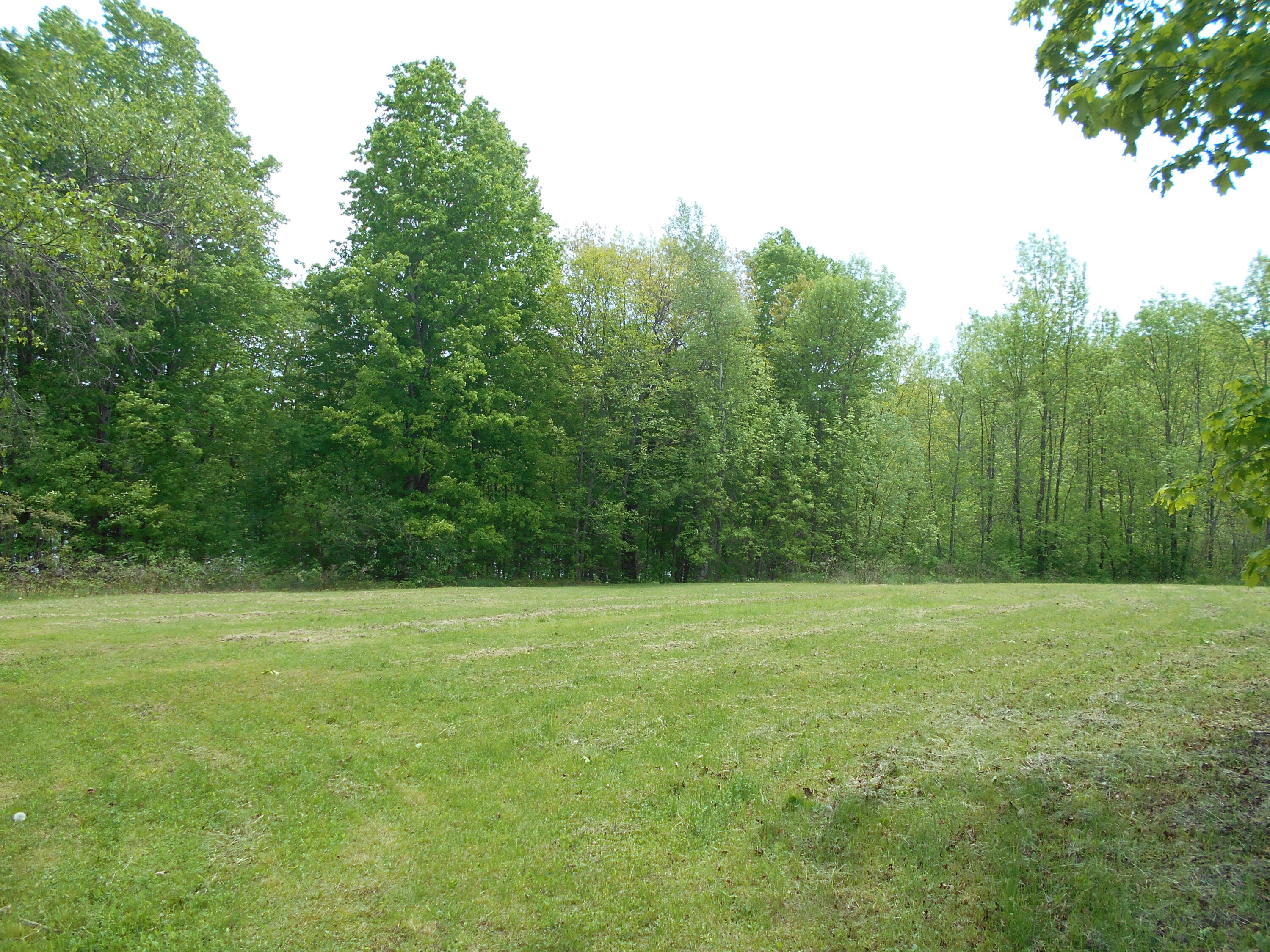 840 North Chester Road Lincoln, ME 04457 - Photo 12 of 68 DSCN7763