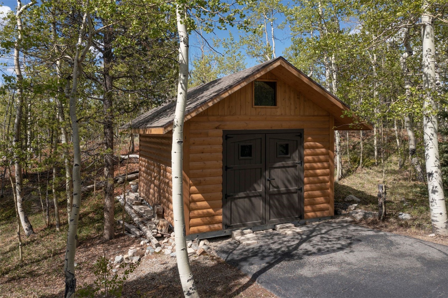 77 Dead Toad Road Alma, CO 80420 - Photo 40 of 44