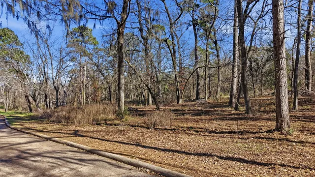 a backyard of a house with trees