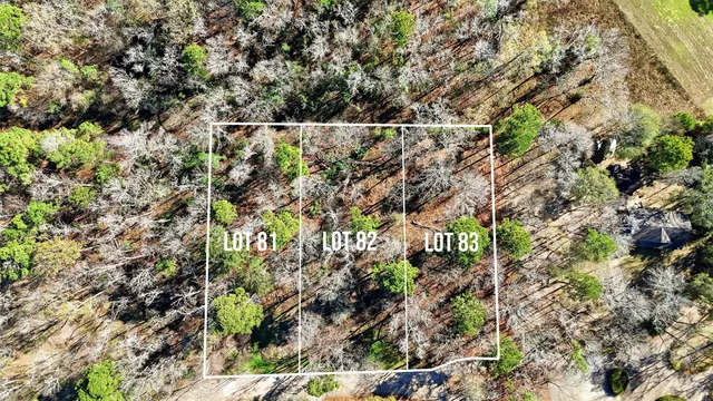 a view of a city with lush green forest