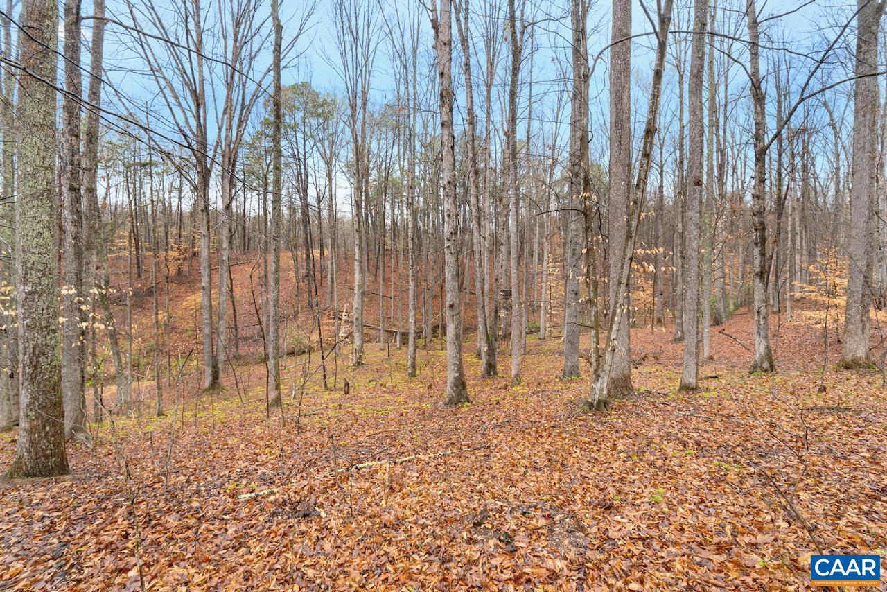 873 Paynes Mill Road Troy, VA 22974 - Photo 31 of 33 Gallery Image 31