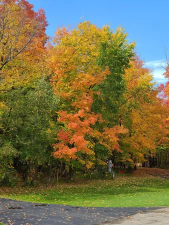 $749,900 | 39949 Sunset Shores Road Southeast, Mentor, MN 56736