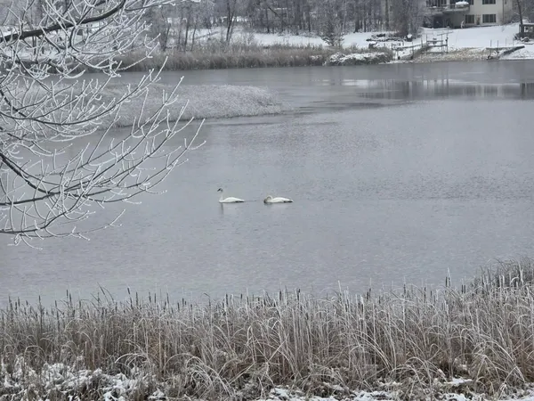 $749,900 | 39949 Sunset Shores Road Southeast, Mentor, MN 56736