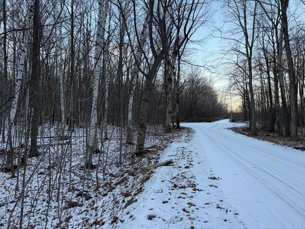 Orchard View Lane Brussels, WI 54204 - Photo 3 of 6