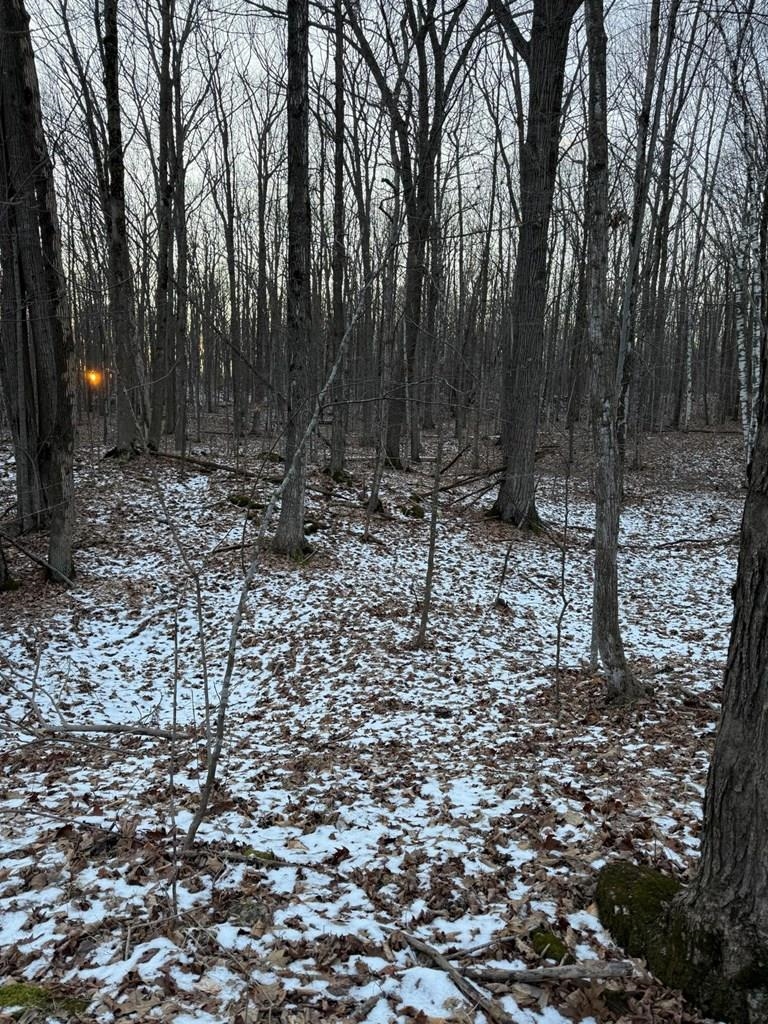 Orchard View Lane Brussels, WI 54204 - Photo 5 of 6