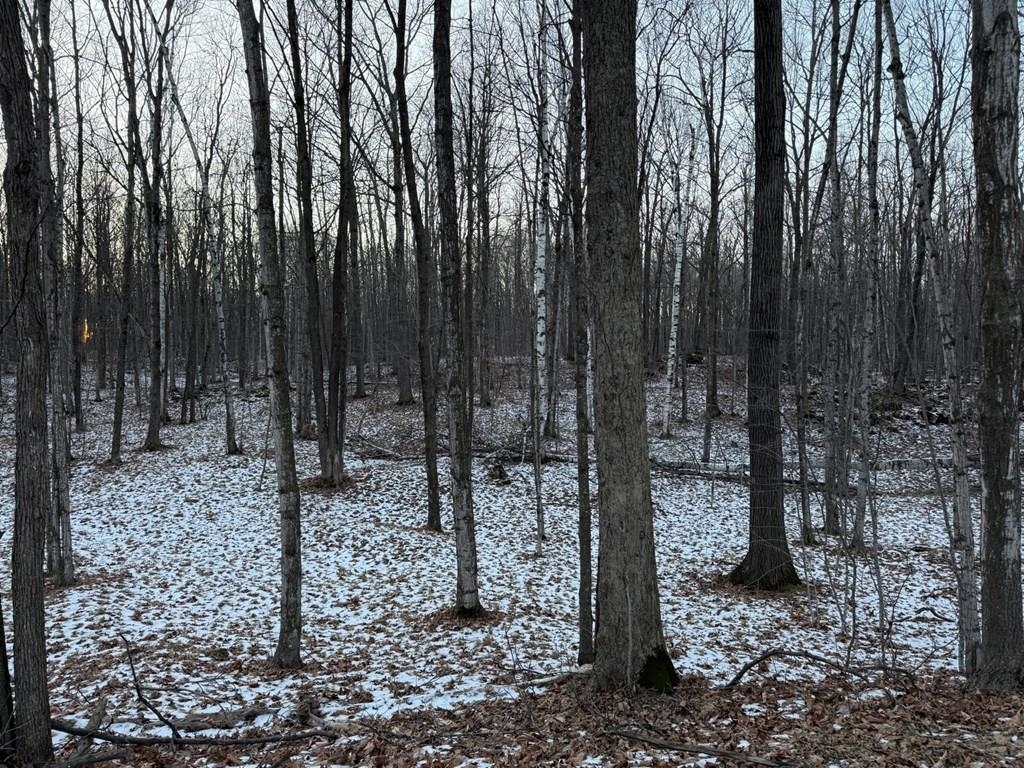 Orchard View Lane Brussels, WI 54204 - Photo 6 of 6