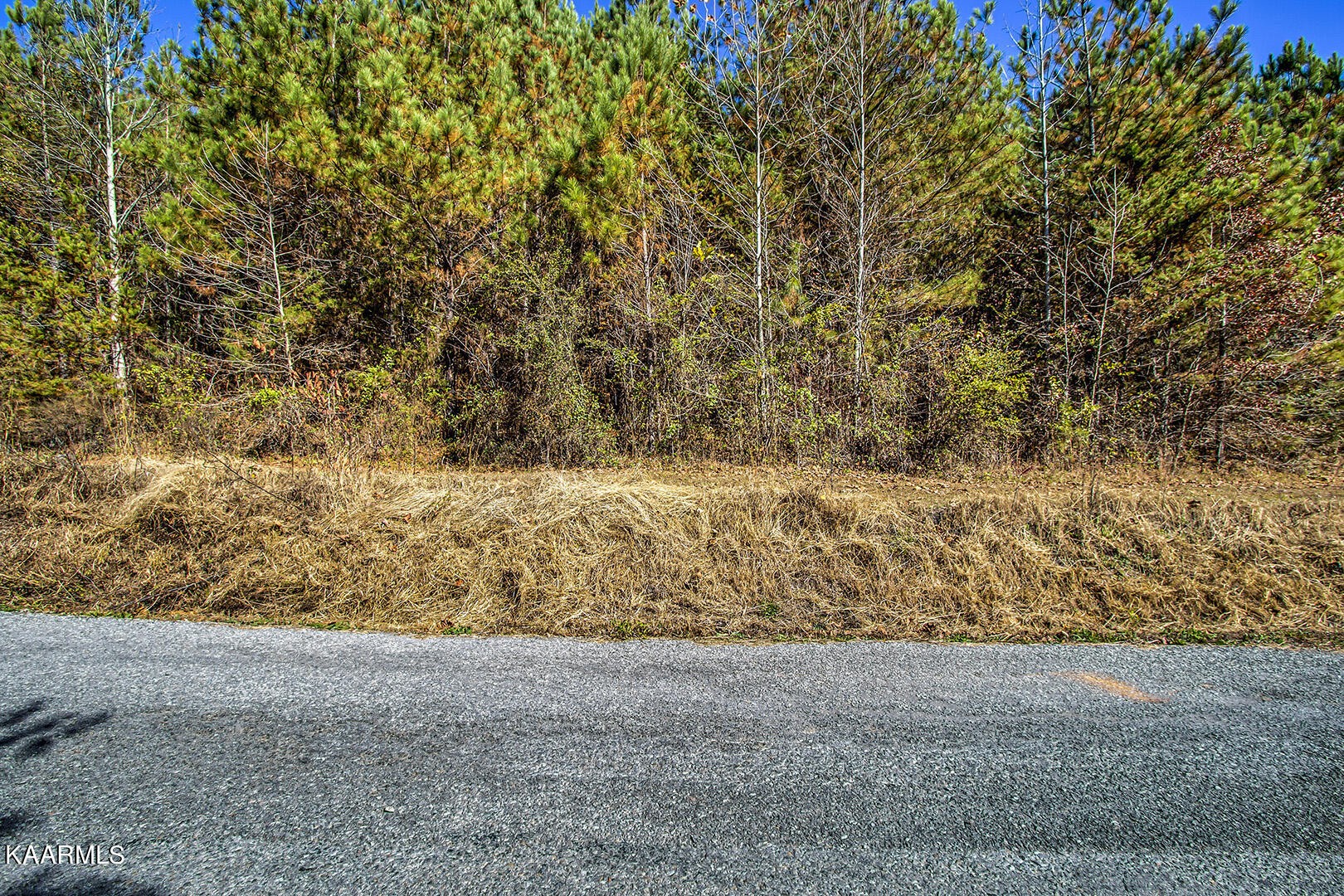 14531457 Sloans Gap Road Ocoee, TN 37361 - Photo 37 of 50