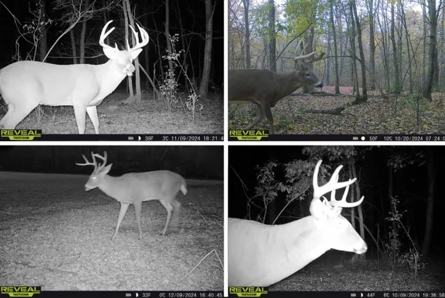 $1,299,900 | N5956 Town Shop Road, Camp Douglas, WI 54618