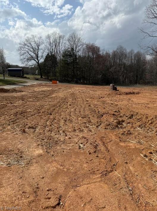 124 Broken Arrow Drive Ararat, NC 27007 - Photo 22 of 22