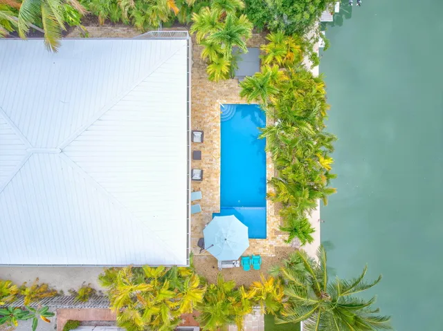 a view of a swimming pool with potted plants