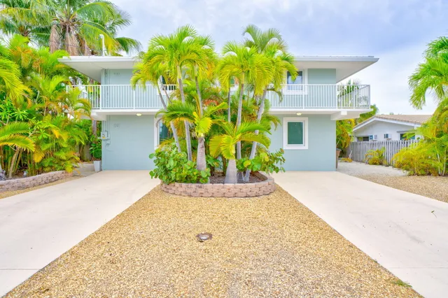 a potted plant sitting in front of a house