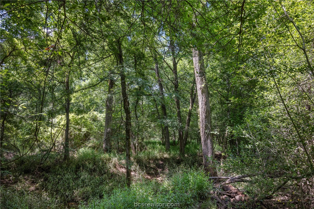 Tbd Weber Road Bryan, TX 77808 - Photo 31 of 43
