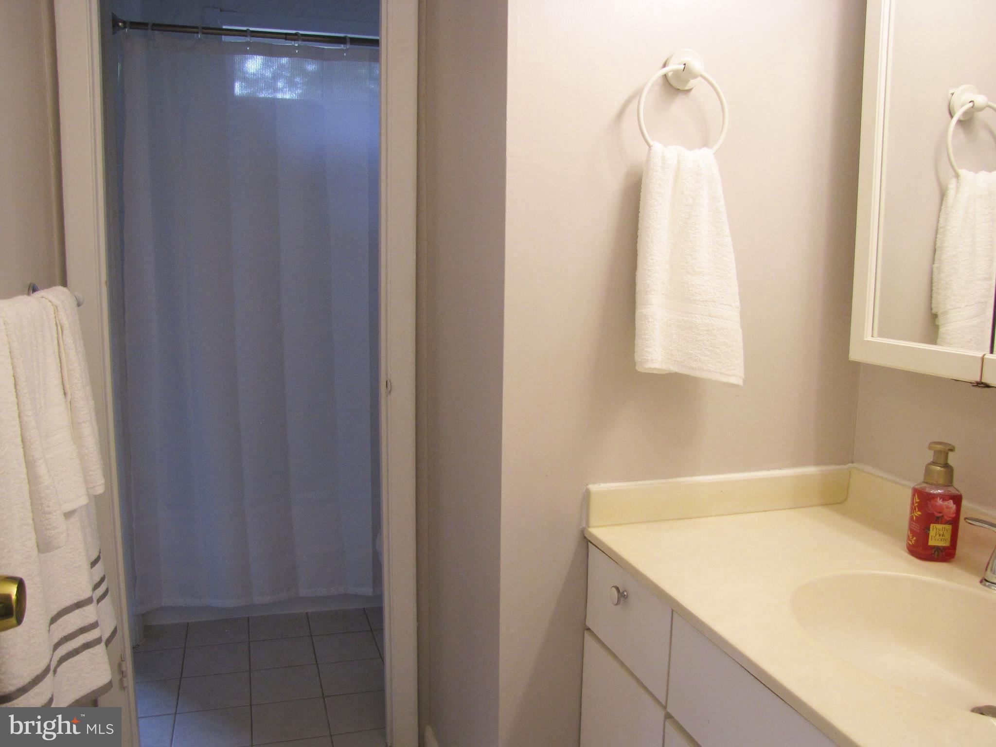 9600 Farewell Road Columbia, MD 21045 - Photo 9 of 18 a bathroom with a sink and a mirror