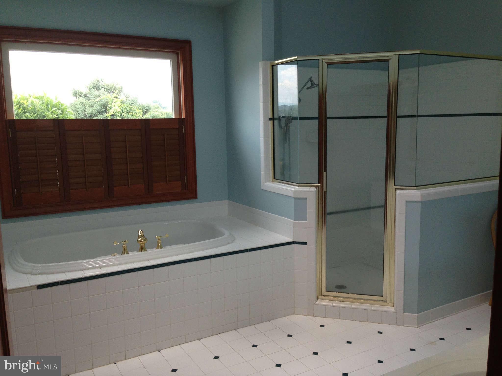 16441 Hampton Road Hamilton, VA 20158 - Photo 22 of 30 Bath Master