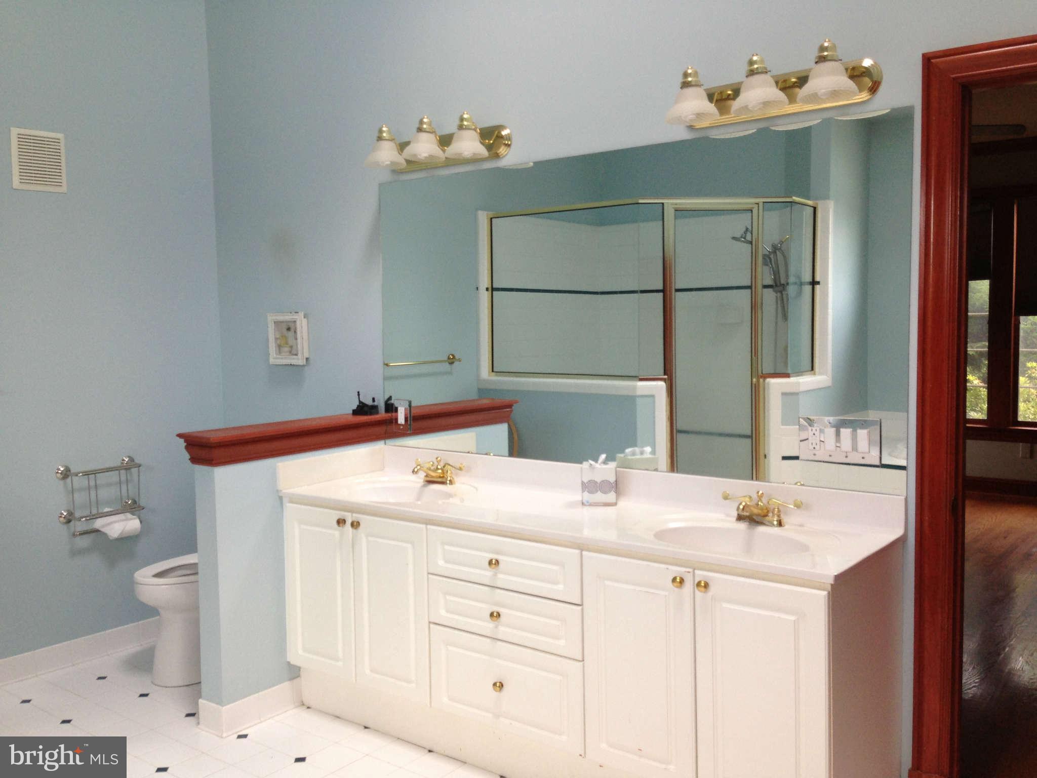 16441 Hampton Road Hamilton, VA 20158 - Photo 23 of 30 Bath Master