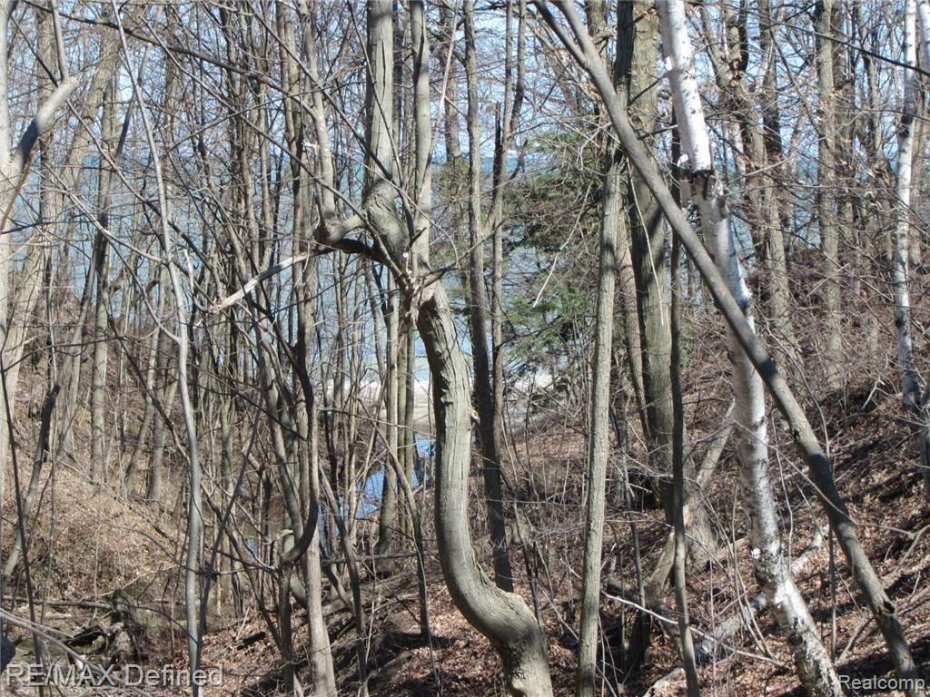 7382 Yale Road Lexington, MI 48450 - Photo 9 of 28