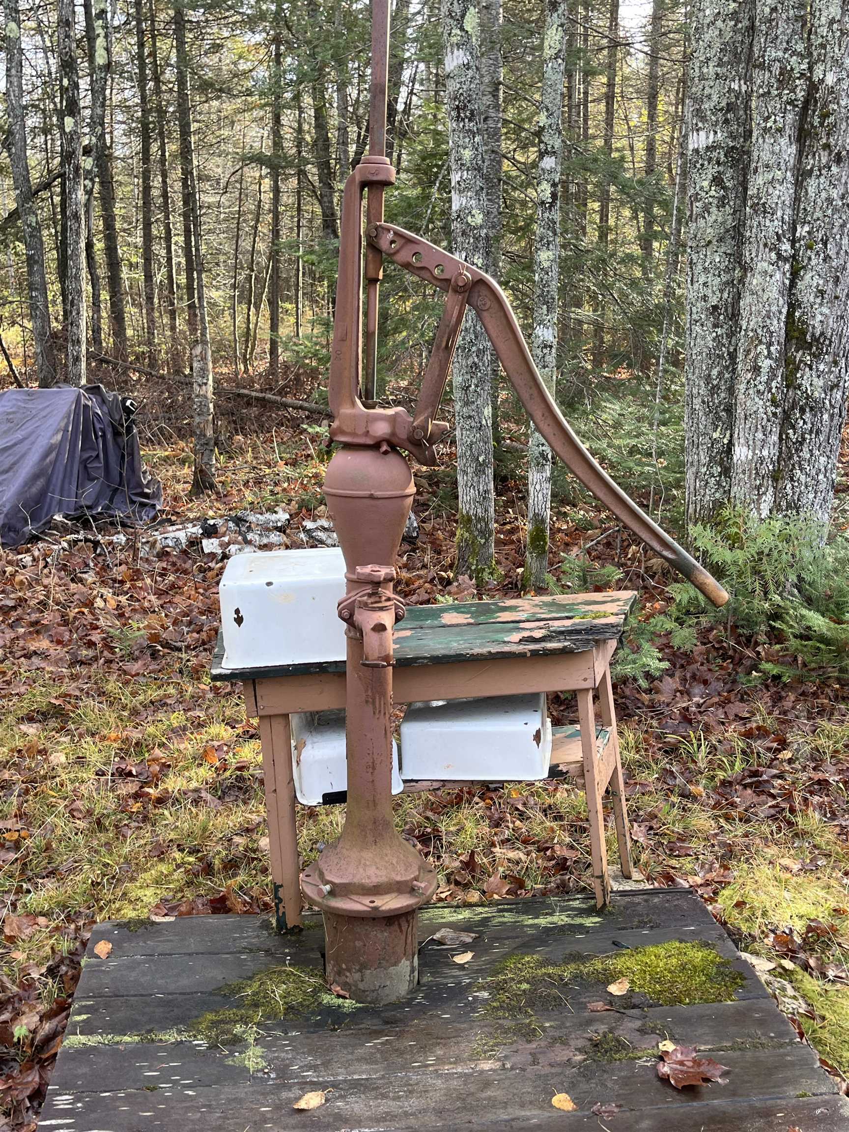 8915 Cramer Road Finland, MN 55603 - Photo 27 of 33 Hand pump your water!