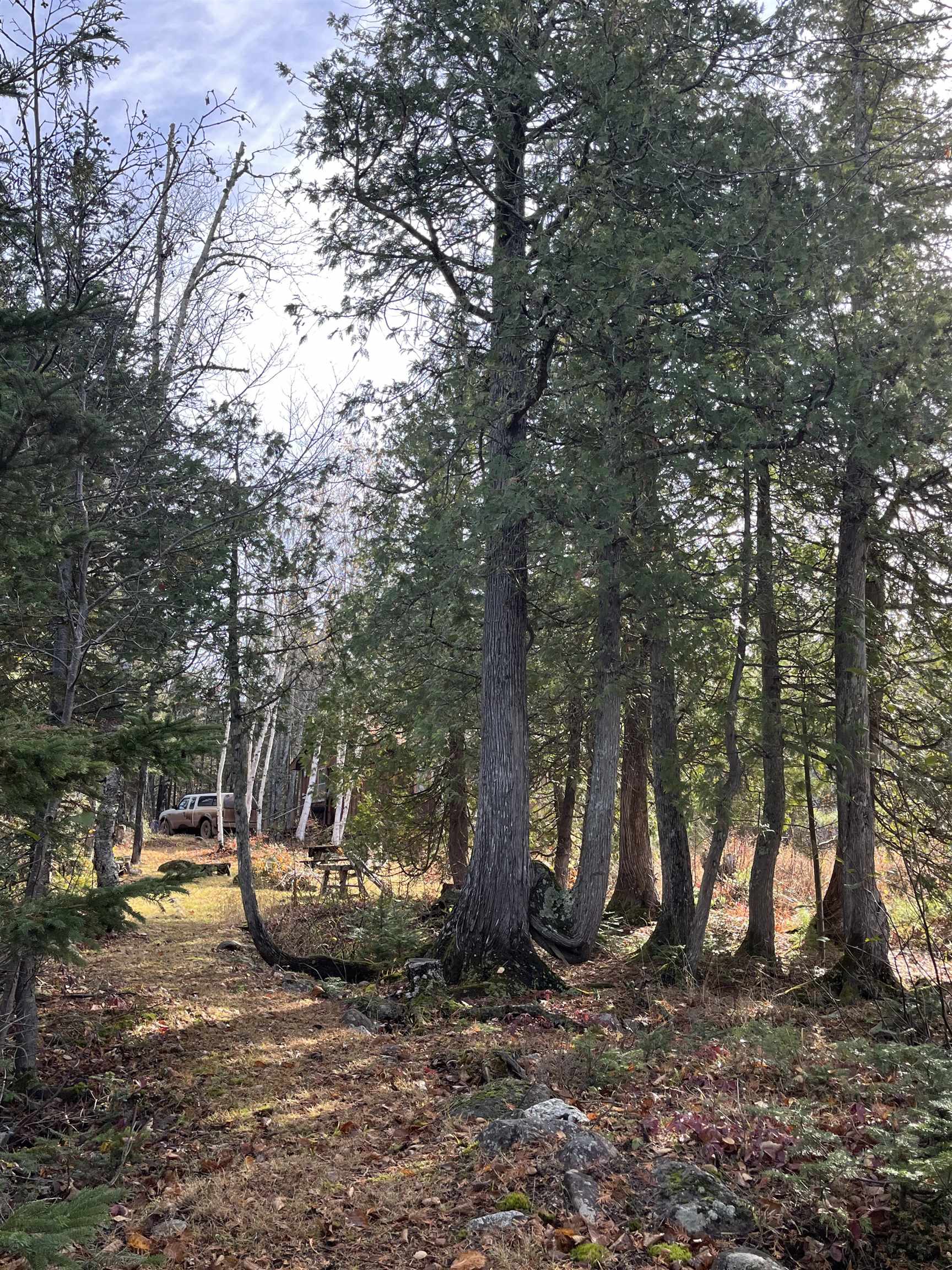 8915 Cramer Road Finland, MN 55603 - Photo 30 of 33