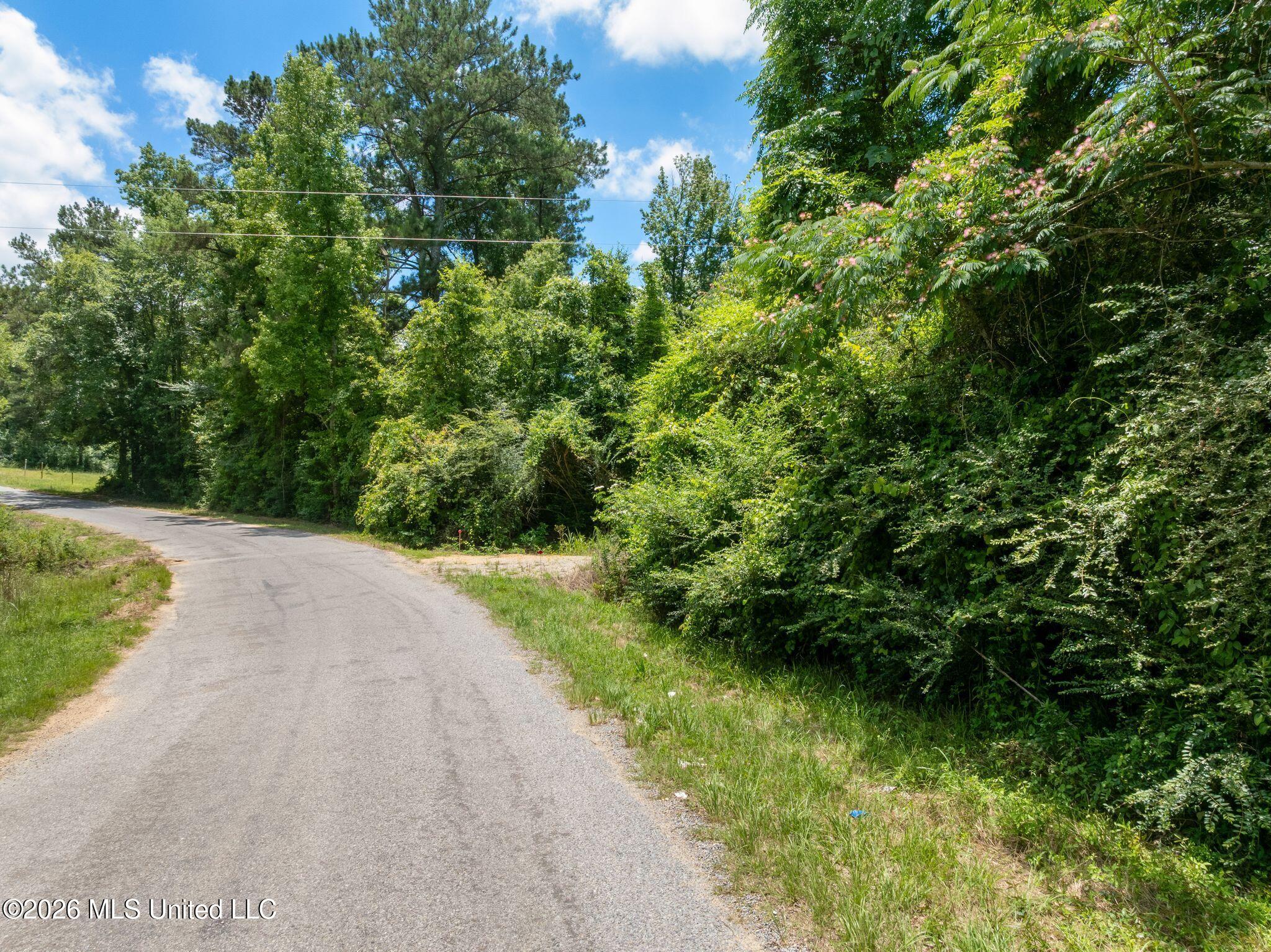 31-acres Ridgeland Road Bassfield, MS 39421 - Photo 2 of 27 85_Ridgeland_Rd-2