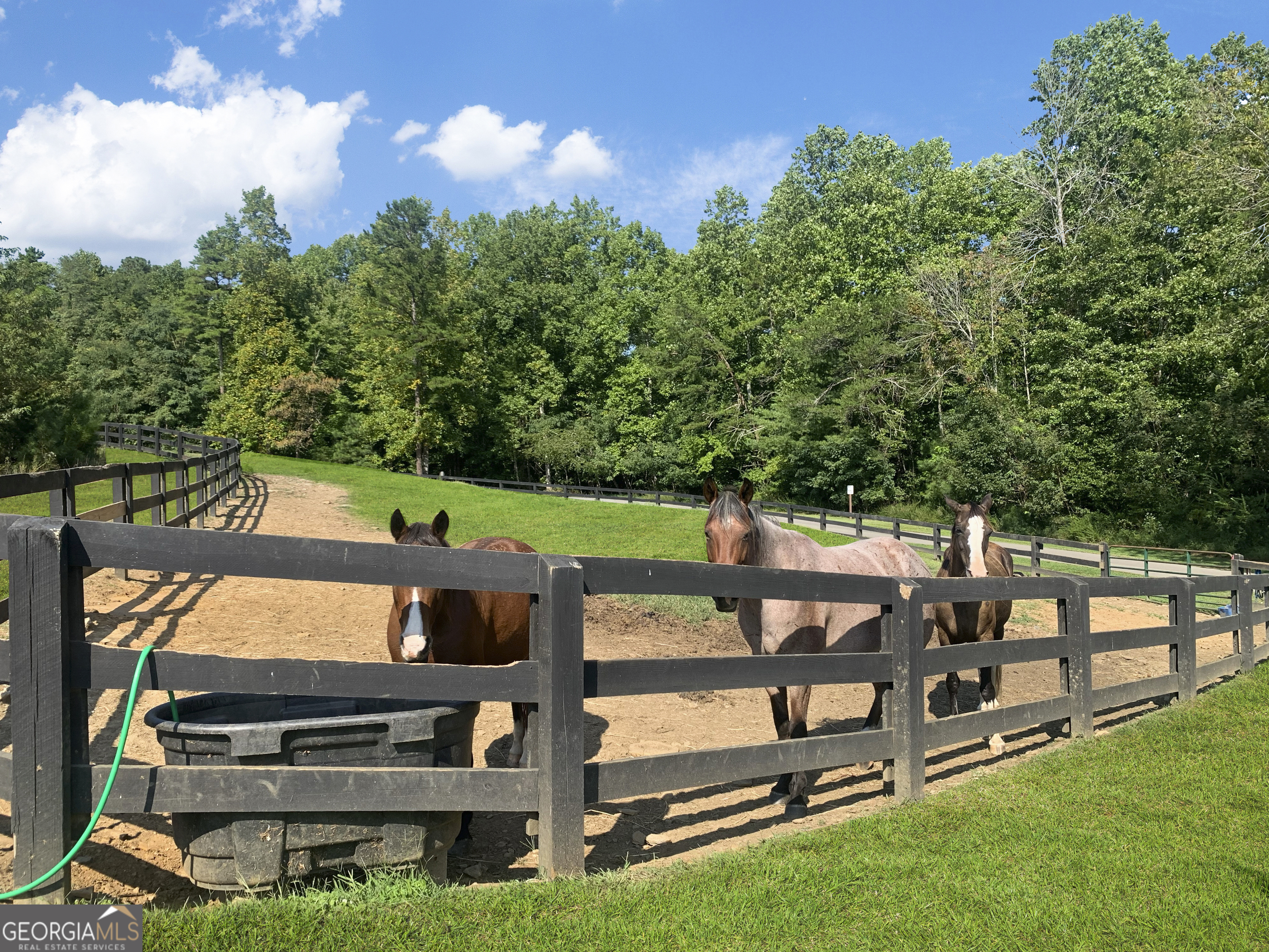 181 Valley View Vista Jasper, GA 30143 - Photo 96 of 97