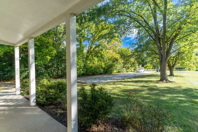 a view of backyard with large trees