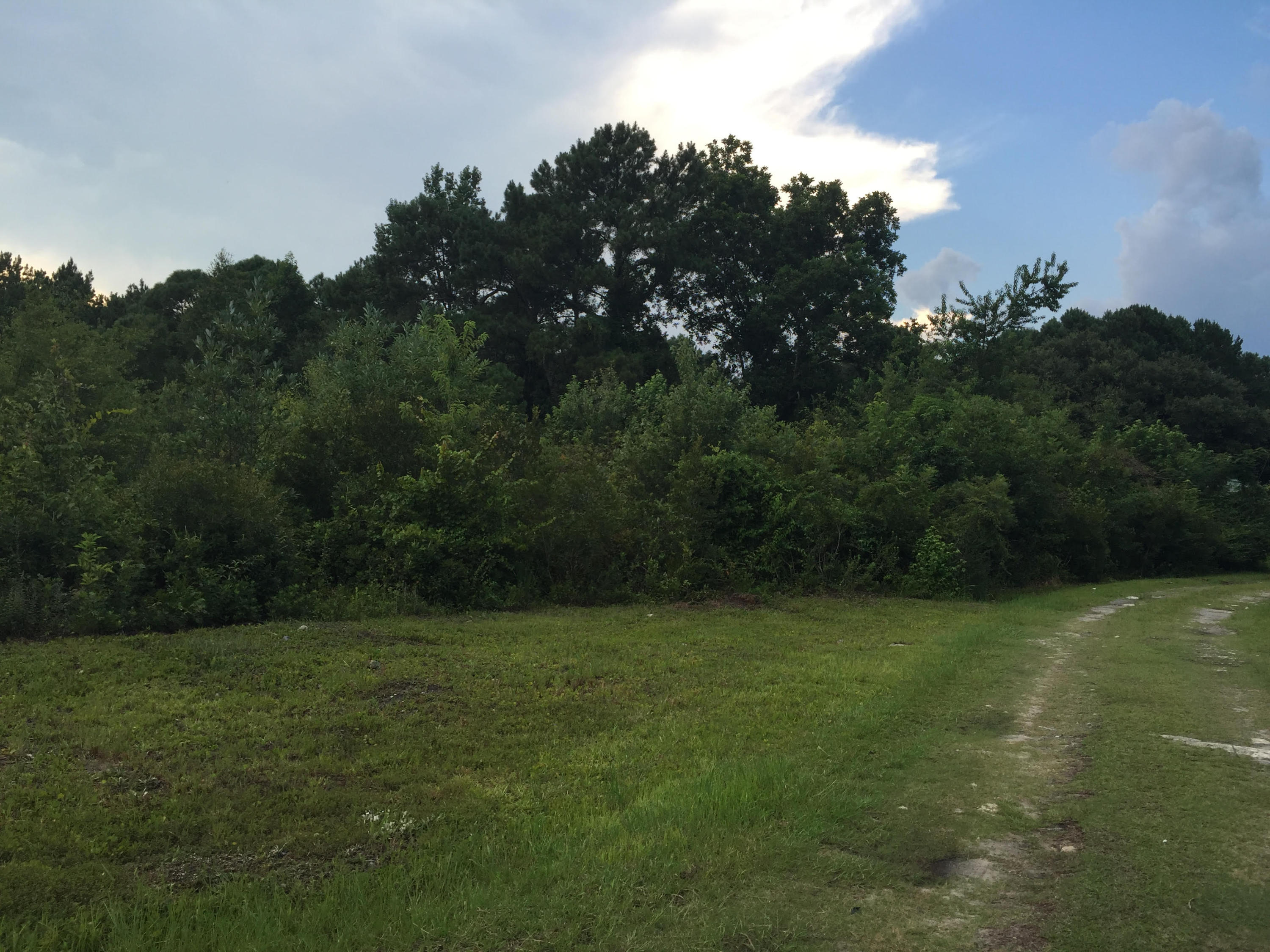 0 Porcher School Road, Unit LOT B Awendaw, SC 29429 - Photo 1 of 4 Carson4