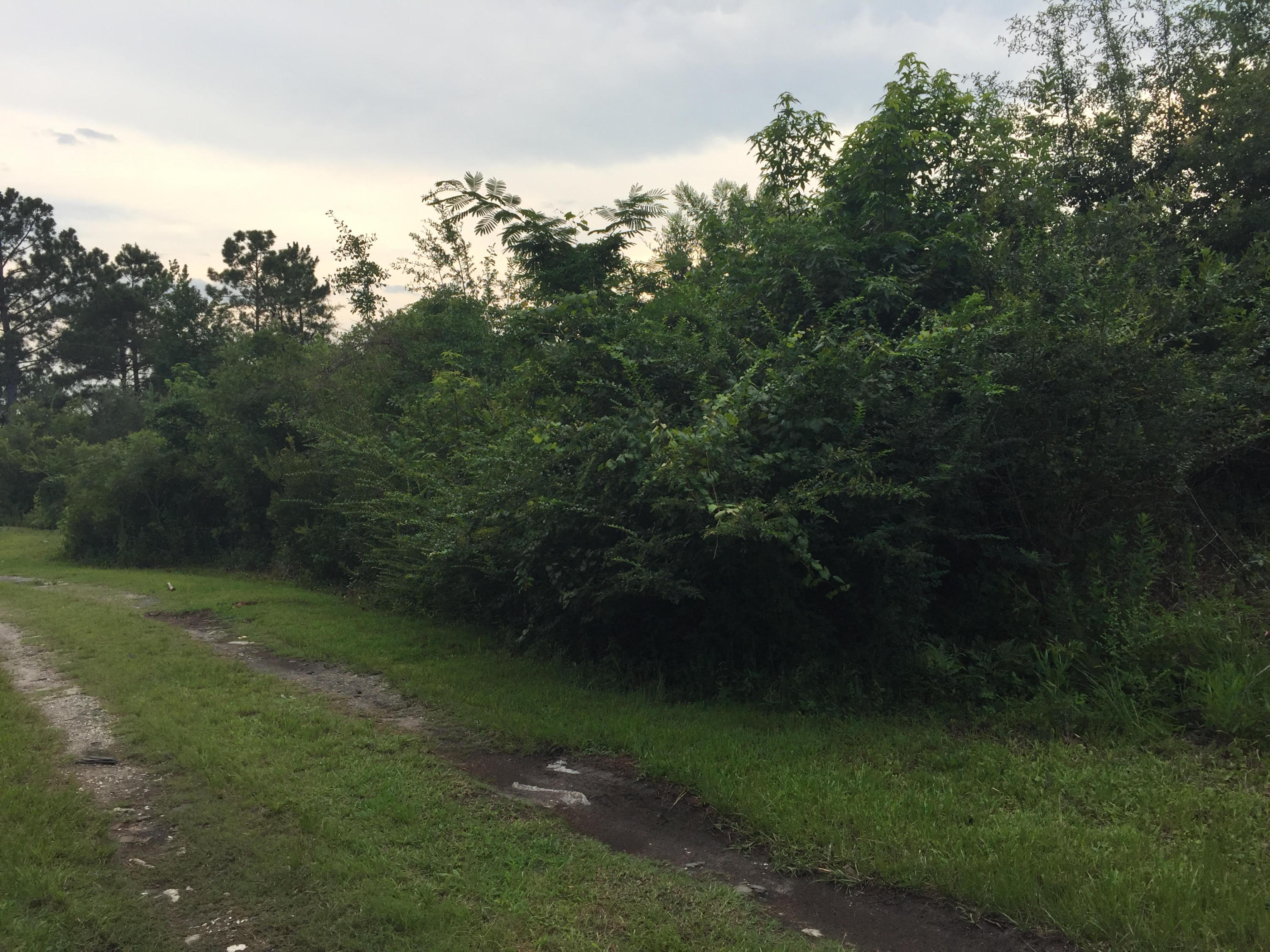0 Porcher School Road, Unit LOT B Awendaw, SC 29429 - Photo 2 of 4 Carson3