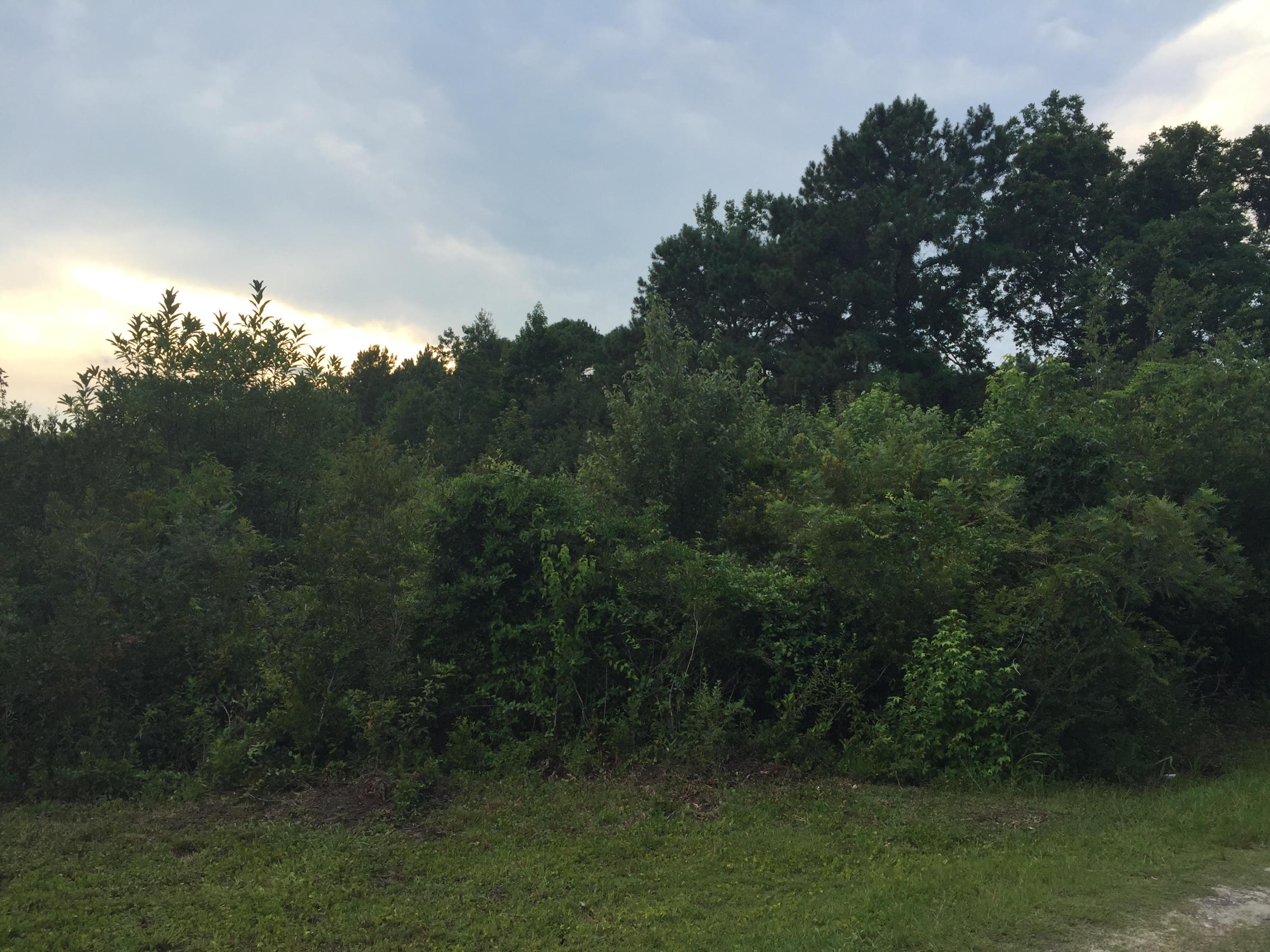0 Porcher School Road, Unit LOT B Awendaw, SC 29429 - Photo 4 of 4 Cason1