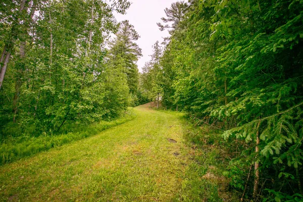 $359,999 | 10547 Vermeil Drive Northeast, Deer River, MN 56636