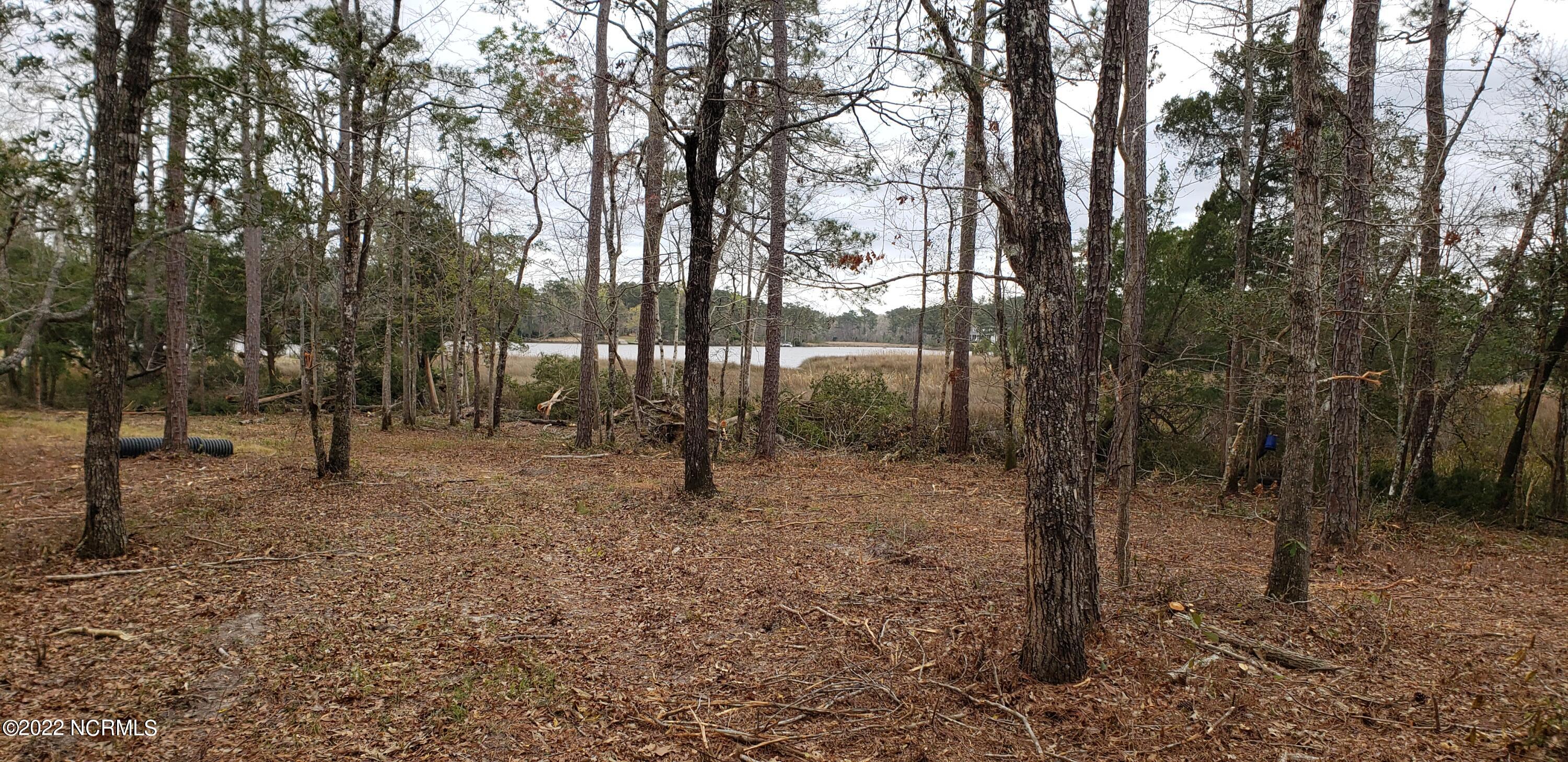 855 Bennett Neck Road Grantsboro, NC 28529 - Photo 11 of 19 water view 2