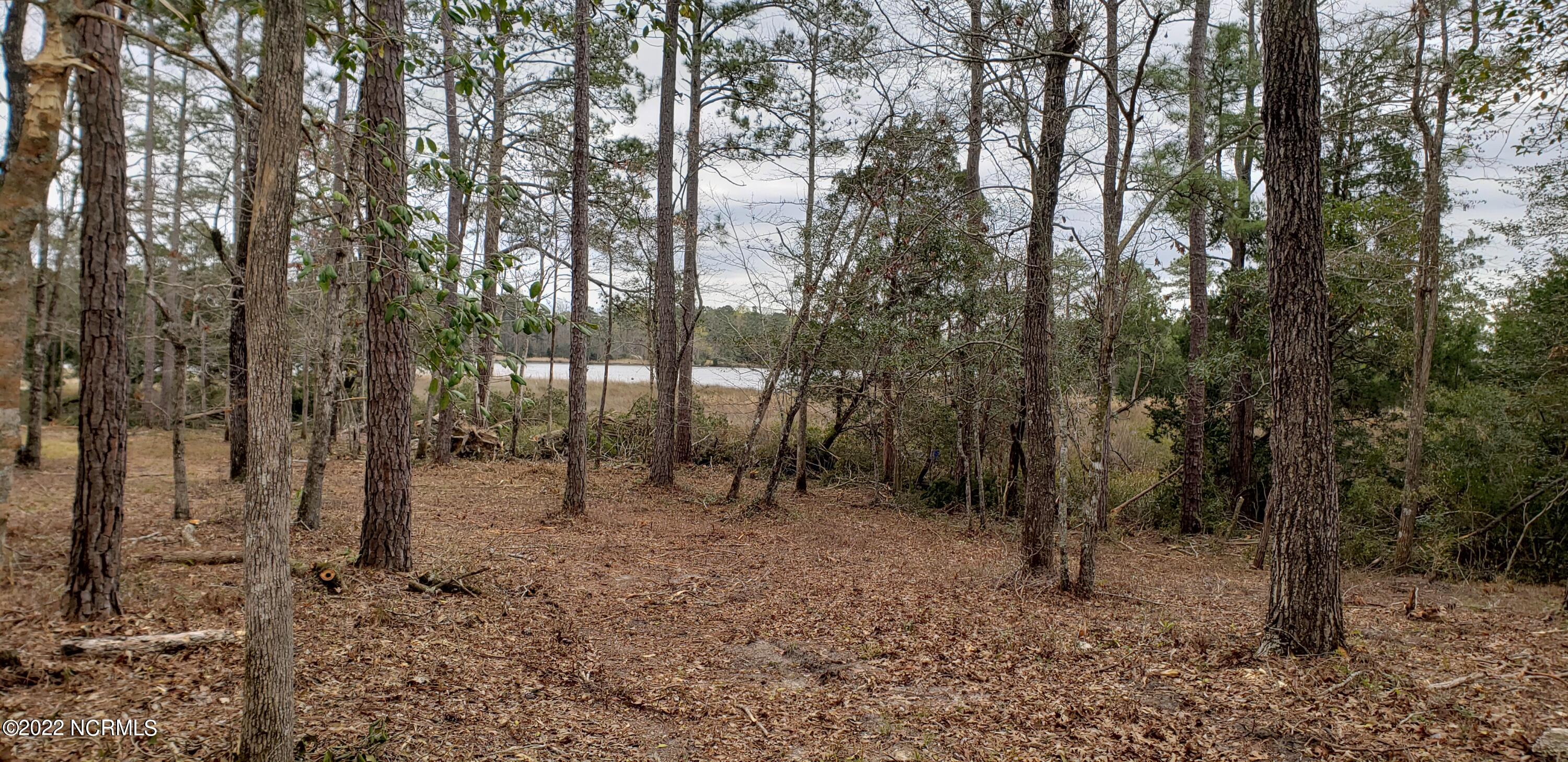 855 Bennett Neck Road Grantsboro, NC 28529 - Photo 16 of 19 A view from the lot
