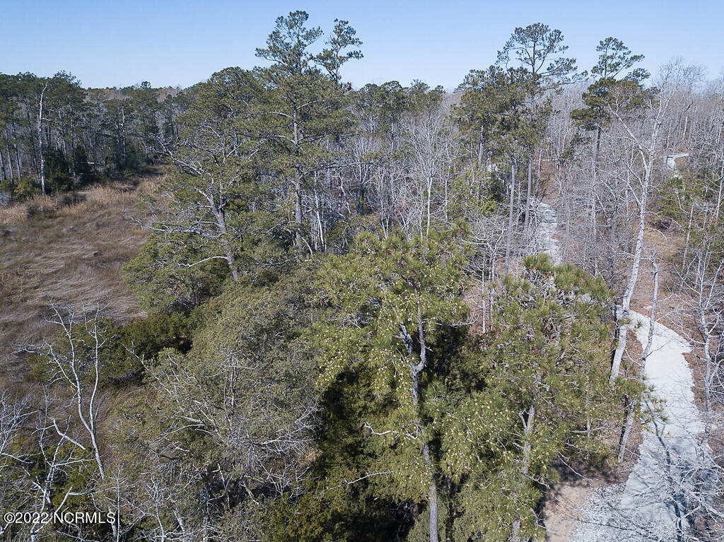 855 Bennett Neck Road Grantsboro, NC 28529 - Photo 17 of 19 Homesite