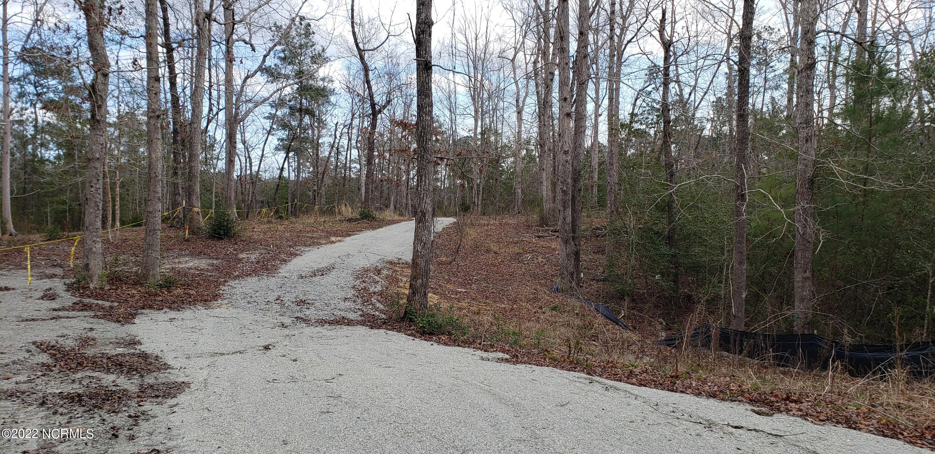 855 Bennett Neck Road Grantsboro, NC 28529 - Photo 4 of 19 Road on Lot