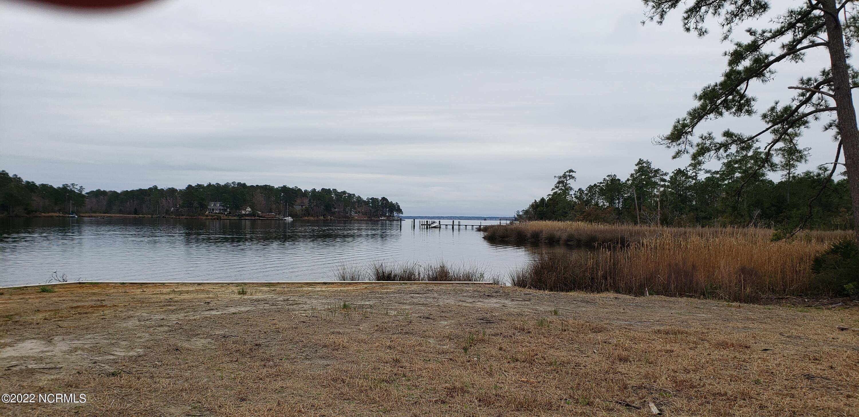 855 Bennett Neck Road Grantsboro, NC 28529 - Photo 5 of 19 View from The Lot