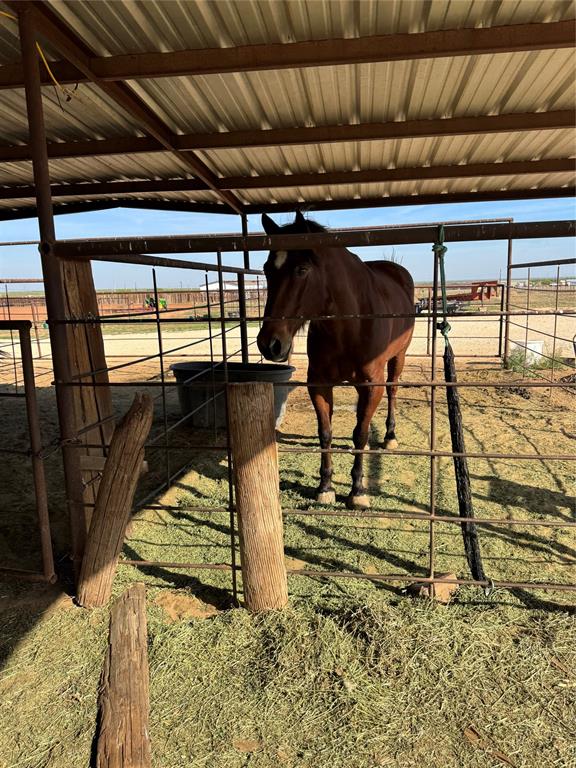 4435 Hayter Road Abilene, TX 79601 - Photo 23 of 31